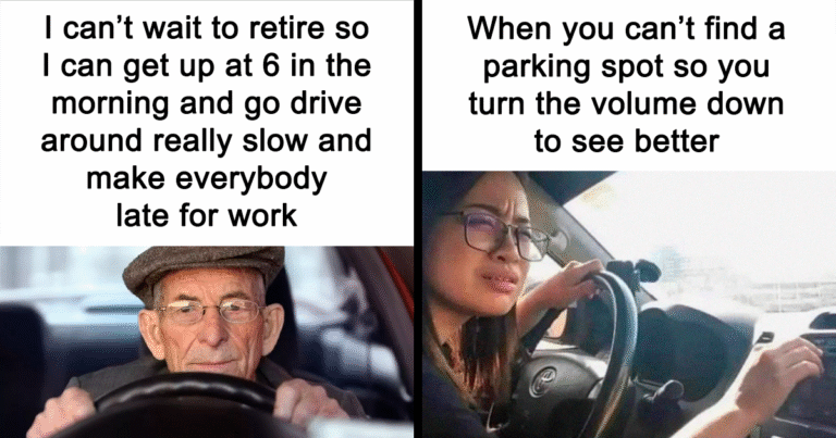 83 Hilarious Driving Memes That Explain Why Road Rage Exists