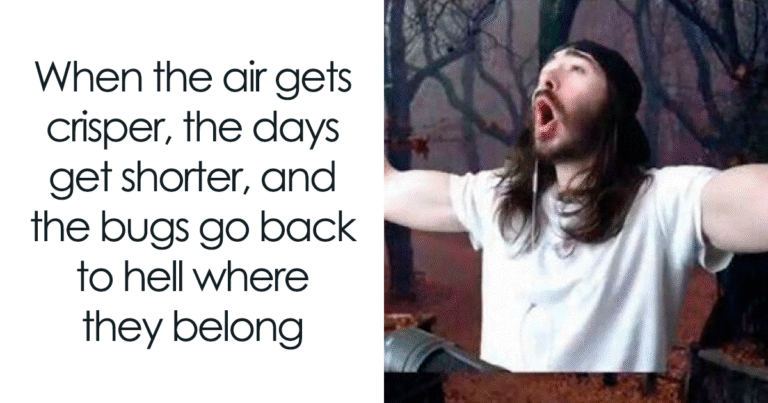 78 Hilarious Memes For Anyone Who Needs A Laugh Today