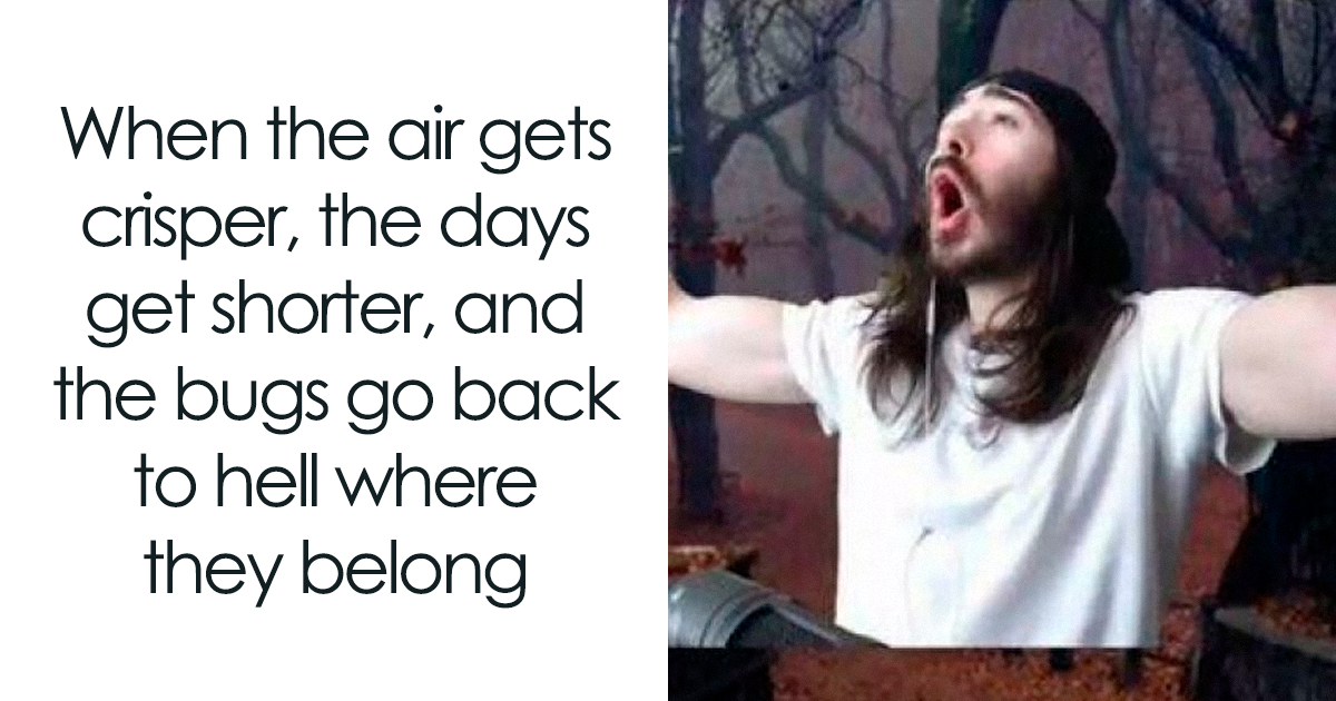 78 Hilarious Memes For Anyone Who Needs A Laugh Today