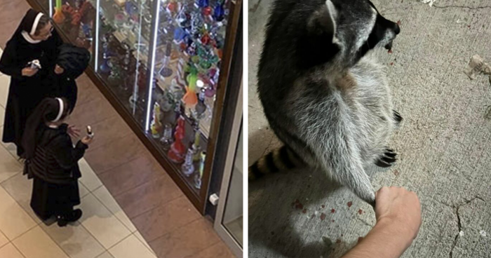 30 People Who Took The Funniest Pics And Finally Had A Chance To Show Them To The World