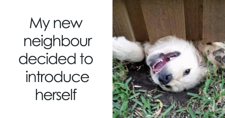 “Pets Are Love”: 80 Adorable And Funny Memes All About Our Furry Companions