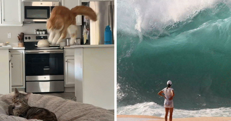 56 Hilarious Photos People Managed To Take Before Disaster Struck