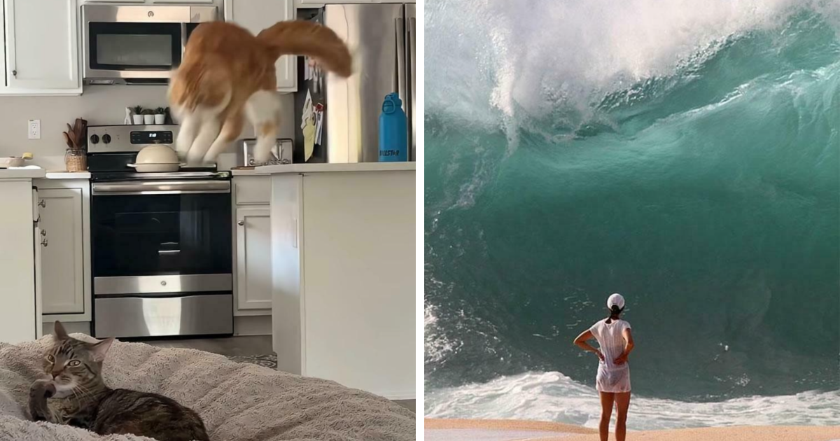 56 Hilarious Photos People Managed To Take Before Disaster Struck