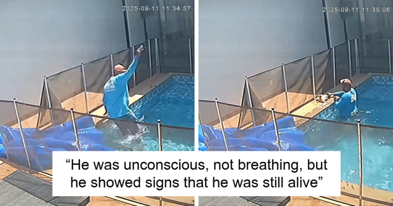 Man’s Split-Second Decision Saves Blind Dog From Drowning In Pool