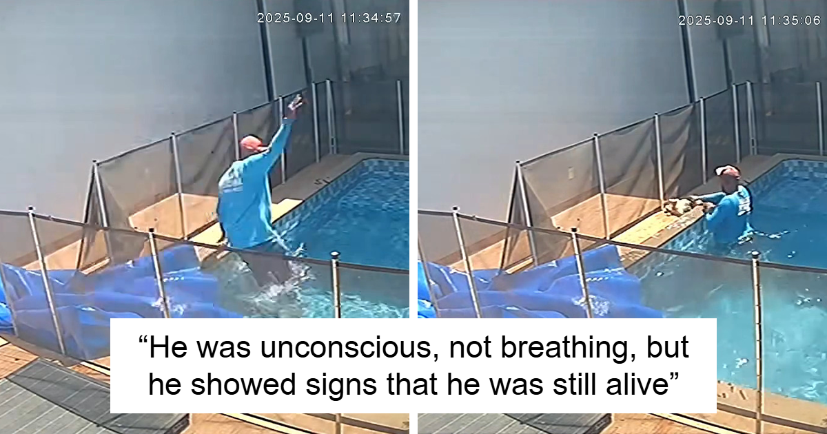 Man’s Split-Second Decision Saves Blind Dog From Drowning In Pool