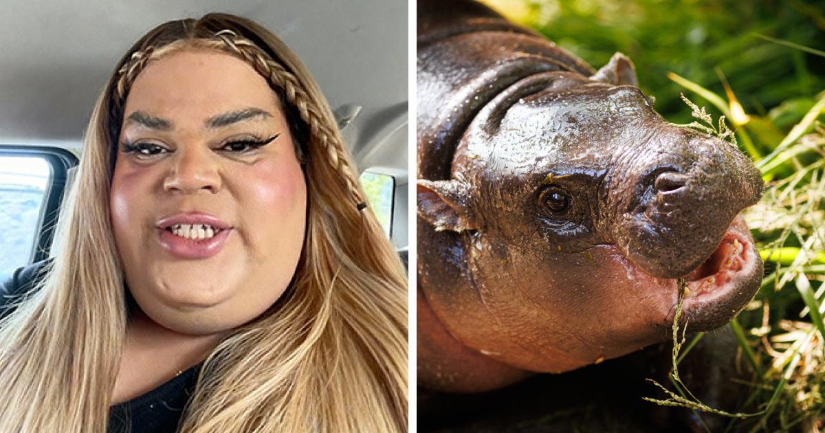 Reader’s Vote: Rank 2024 Pop Culture Moments That Caught You Off Guard The Most