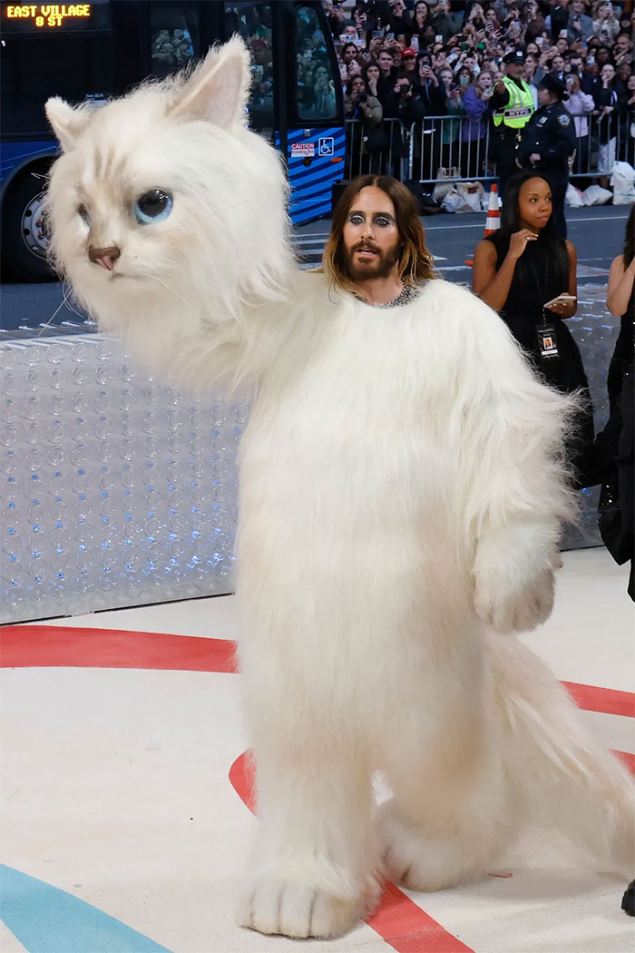 20 Celebs Who Tried Too Hard To Dress For The Met Gala And Failed In Spectacular Fashion