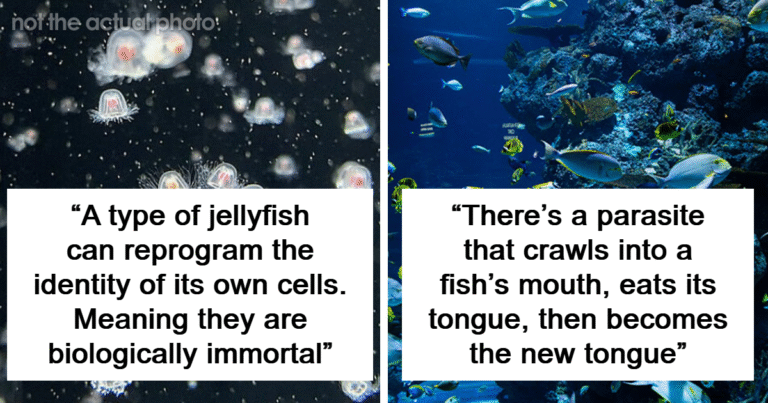 “It’s Just As Horrific As It Sounds”: 72 Disturbing Truths About Animals You Might Wish You Didn’t Know