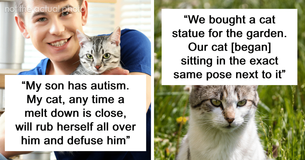 69 Stories About The Most Intelligent Pets People Have Ever Had
