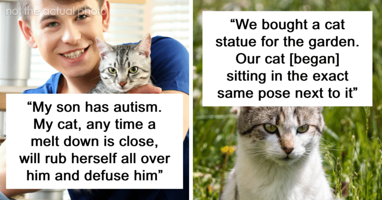 69 Stories About The Most Intelligent Pets People Have Ever Had