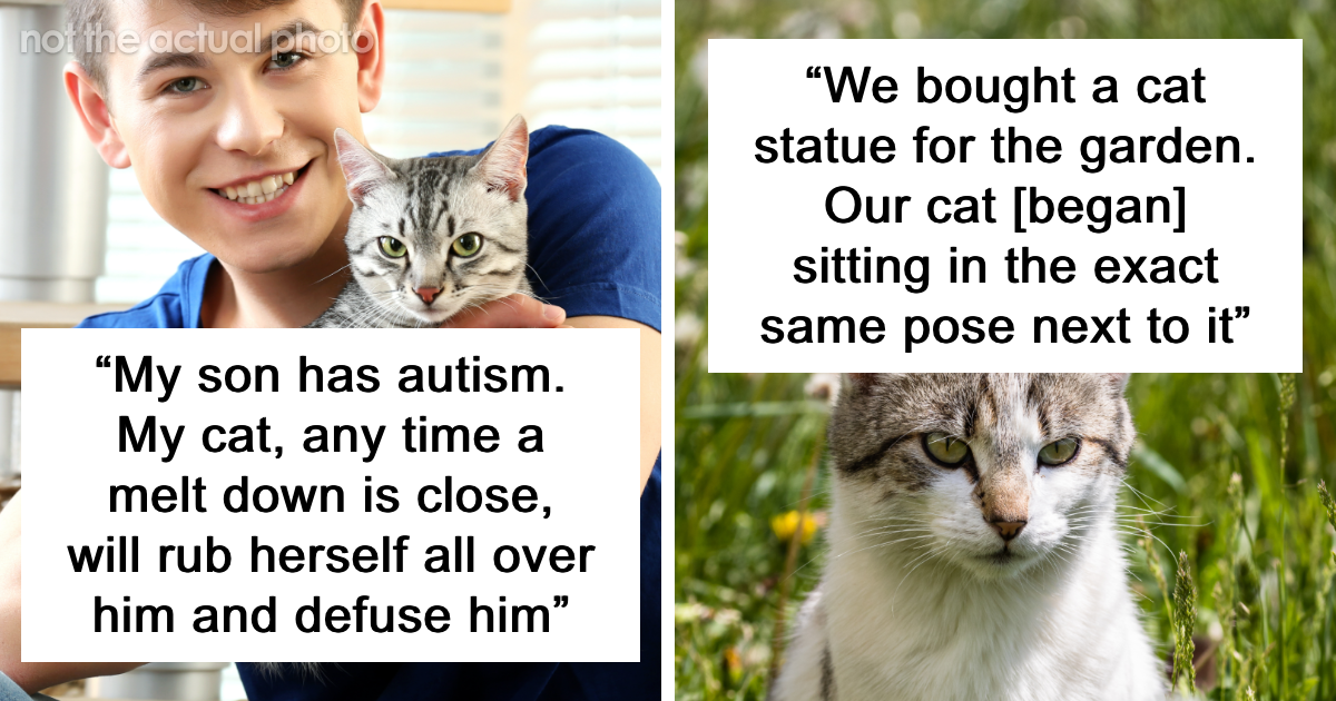69 Stories About The Most Intelligent Pets People Have Ever Had