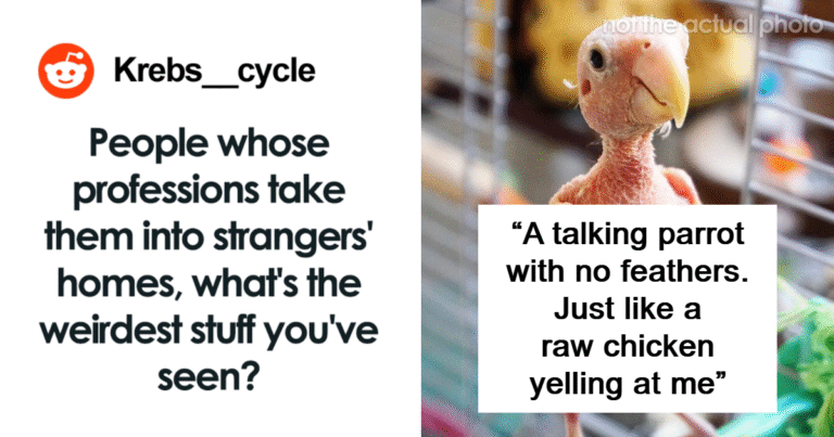 “The Horrors I Saw In That Home Nearly Broke Me”: 27 Weird Things Workers Have Seen Inside Strangers’ Homes
