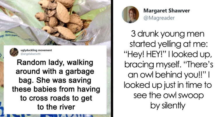 44 Times Strangers Acted Unbelievably Wholesome And It Made These People’s Day