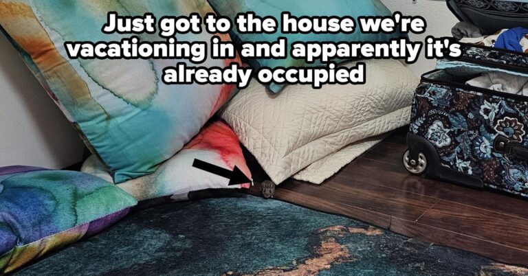 18 People Whose Entire Lives Got Completely And Totally Steamrolled By The Consequences Of Their Own Terrible Decisions