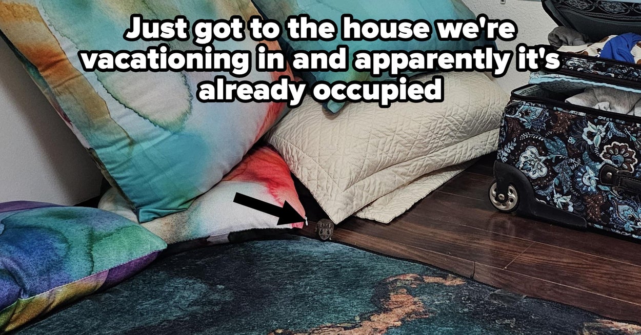 18 People Whose Entire Lives Got Completely And Totally Steamrolled By The Consequences Of Their Own Terrible Decisions