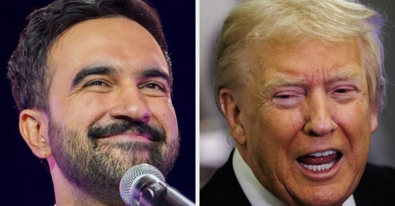 Zohran Mamdani Has 4 Searing Words For Donald Trump, And They're Going Viral