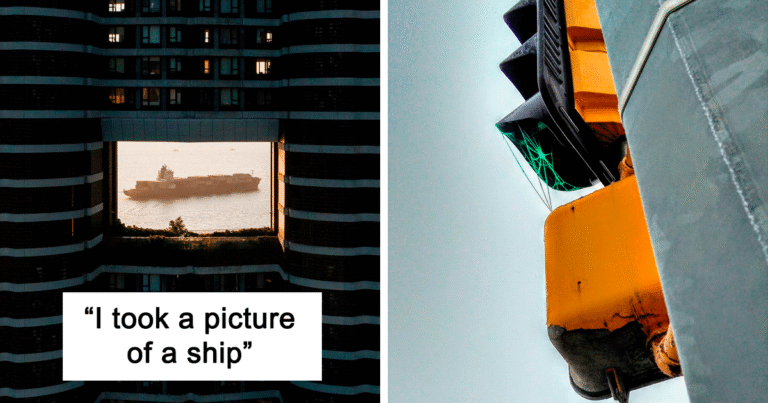 “I Cannot Believe I Caught This”: 50 Times People Couldn’t Believe The Beauty They Managed To Capture In A Photo