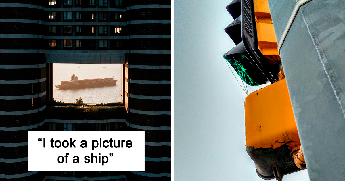 “I Cannot Believe I Caught This”: 50 Times People Couldn’t Believe The Beauty They Managed To Capture In A Photo