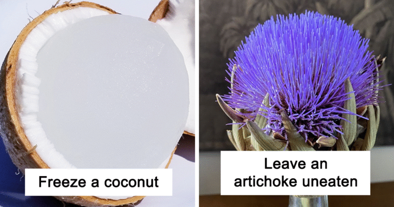 50 People Are Sharing “What Happens If…” So You Don’t Have To Keep Wondering