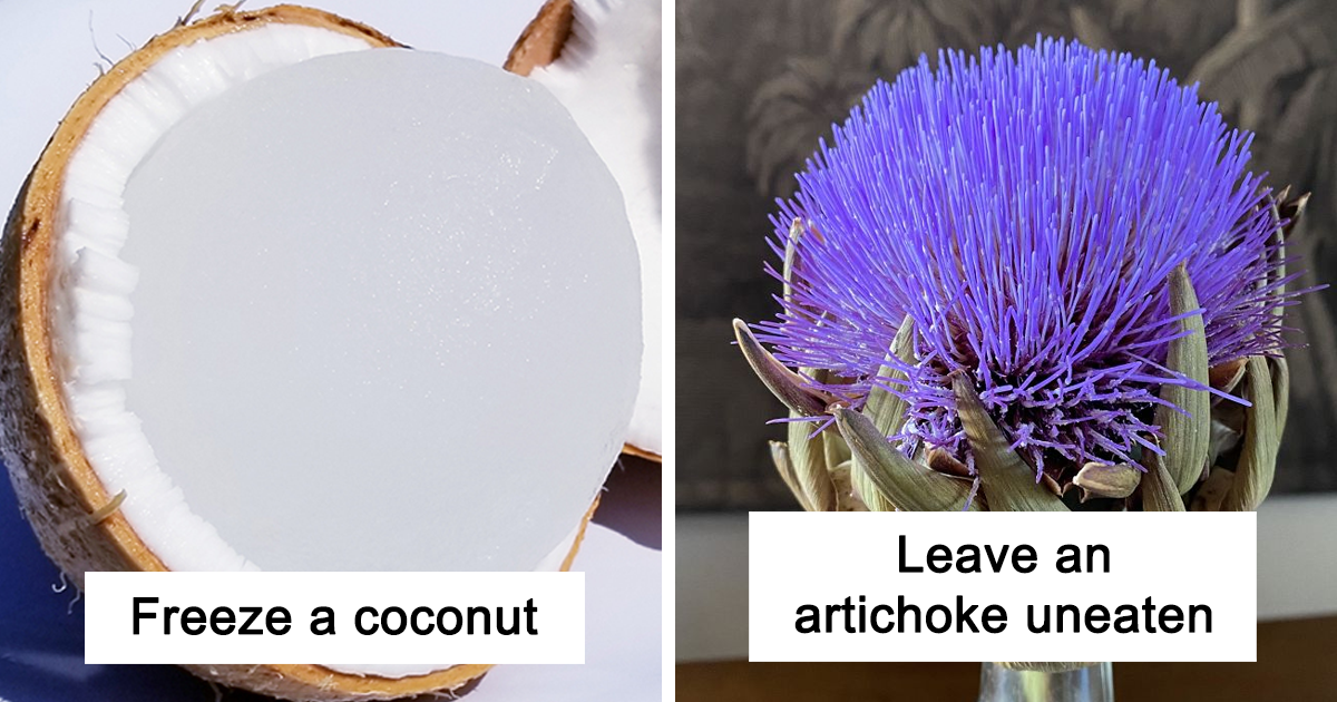 50 People Are Sharing “What Happens If…” So You Don’t Have To Keep Wondering