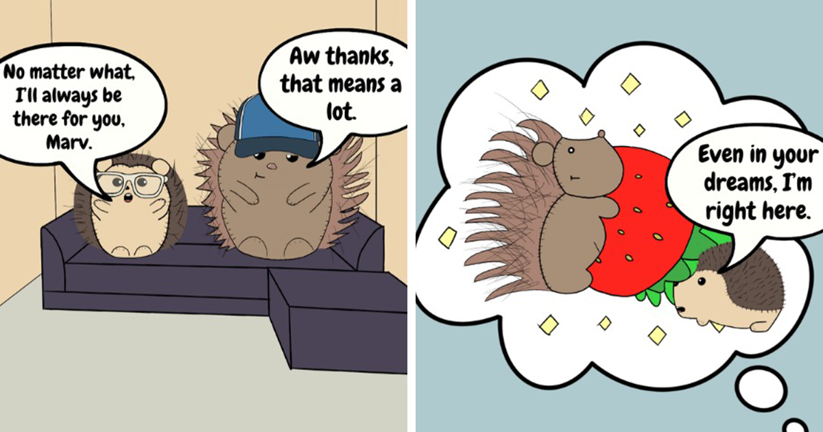 19 Funny Comics About Gaming, Life, And A Prickly Roommate Duo