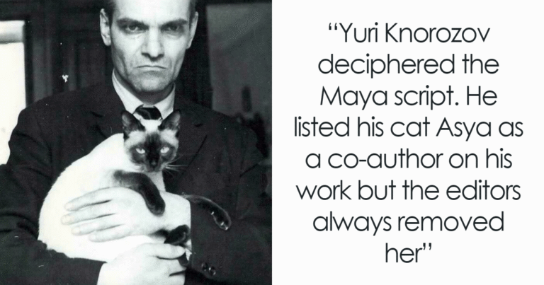 76 Utterly Unique Historical Photos That Have A Deep Backstory (New Pics)