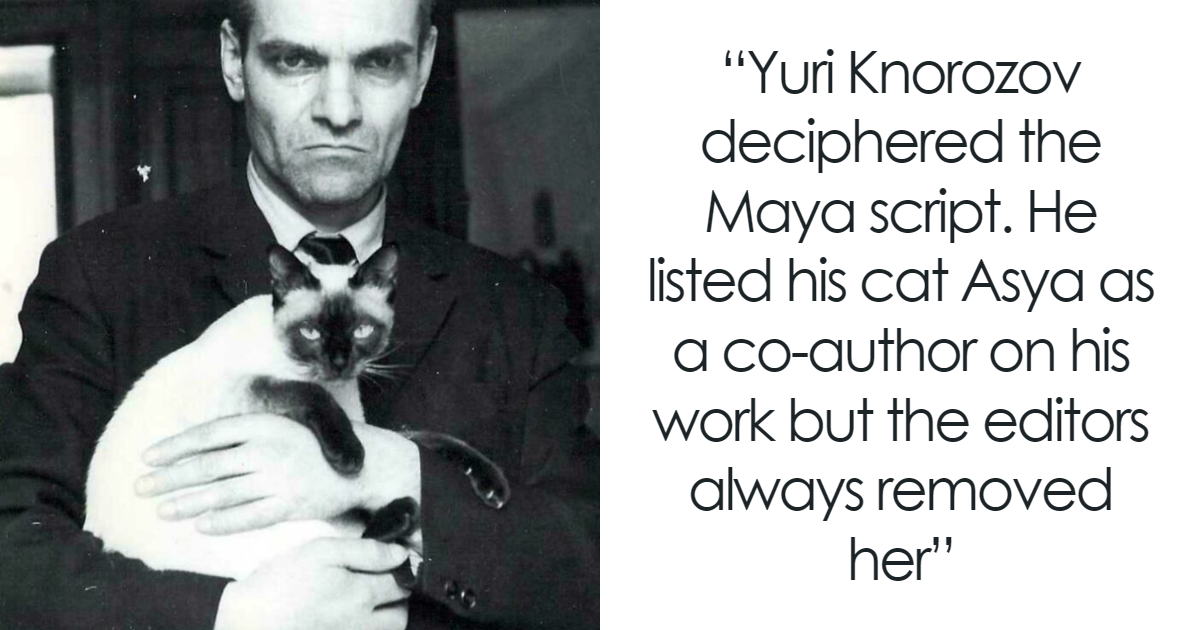 76 Utterly Unique Historical Photos That Have A Deep Backstory (New Pics)