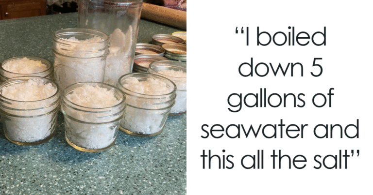 81 Interesting Pics That Answer Questions You Didn’t Know You Needed To Ask