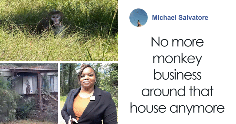 People Can’t Decide If They Support Mom Who Unalived Research Monkey Who Invaded Her Backyard