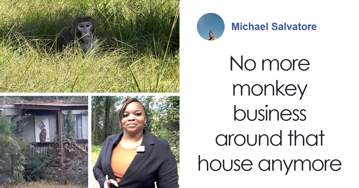 People Can’t Decide If They Support Mom Who Unalived Research Monkey Who Invaded Her Backyard